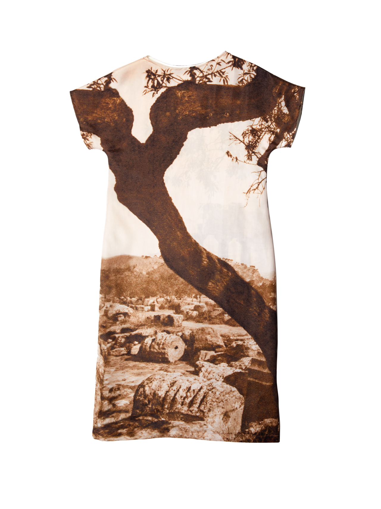 Landscape Silk Dress